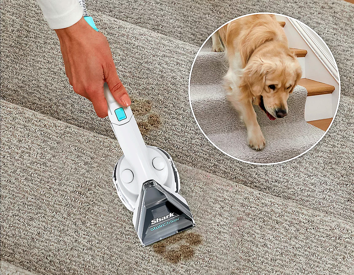 StainStriker se hai animali domestici